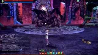 Tera Online: Karascha Solo Boss Fight with Priest, 1080p