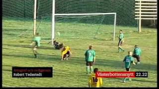 Sveriges hetaste målskytt (fotboll 2010)