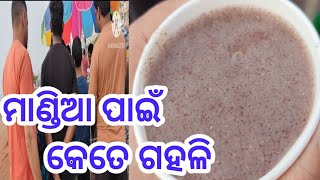 ଓଡ଼ିଶା ବାହାରେ ବି ମାଣ୍ଡିଆ ର Demand କେତେ ଅଧିକ | ମାଣ୍ଡିଆ ପାଇଁ କେତେ ଗହଳି ଏଠି |khusi lovely style |