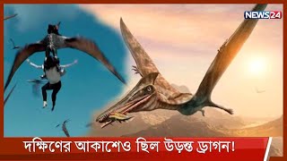 ১৬ কোটি বছর আগের ‘উড়ন্ত ডাইনোসর’র জীবাশ্ম আবিষ্কার! 13Sep.21| Flying Dinosaurs