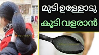 മുടി നല്ല ഉള്ളോടു കൂടെ തഴച്ചു വളരാൻ രണ്ടു തവണ ഇങ്ങനെ ചെയ്യൂ|double longer thicker hair naturally