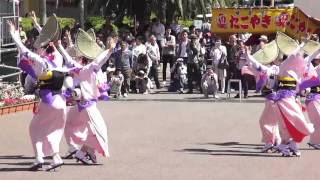 阿波鳴連  はな・はるフェスタ2016阿波おどり  藍場浜エントランス