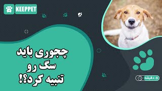 چجوری باید سگ رو تنبیه کرد؟!