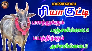 மணப்பாறை பயமறியா பசங்க❤️ரியா குட்டி😘/#JallikattuTN45