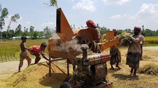 Amazing Paddy Thresher Machine in Village || Rice Harvester