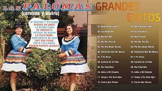 Dueto Las Palomas Sus Grandes Exitos - Dueto Las Palomas Mix - Corridos y Rancheras Norteñas Viejita