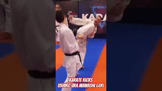 Karate kicks tutorial - Ushiro ura Mawashi Geri