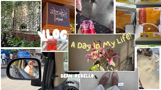 vlog . A day in my life 🌷| exploring dadar | shopping 🛍️ | visiting churchigate 🚕 |