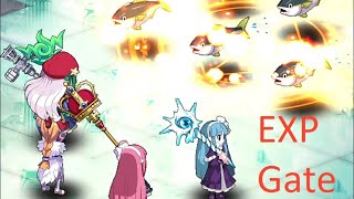 Disgaea RPG Tips by a JP Player #3 EXP Gate