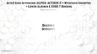 ★ACTN3 Gene Activation (Alpha-Actinin 3) + Myostatin Inhibitor + Lower Albumin and SHBG T Bonding★