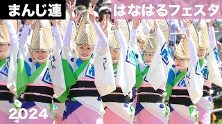 【まんじ連 徳島阿波踊り】女踊りはゆったりと、男踊りはダイナミックに!はなはるフェスタ2024