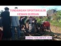 TENDANGAN MAUT SAPI QURBAN DI LOMBOK #selalu berhati hatilah saat penyembelihan.