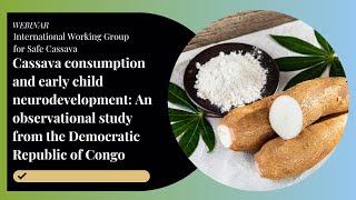 Cassava consumption and early child neurodevelopment