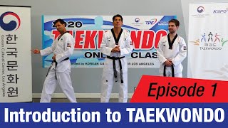[2020 Online TKD Class] EP 1: Introduction to Taekwondo