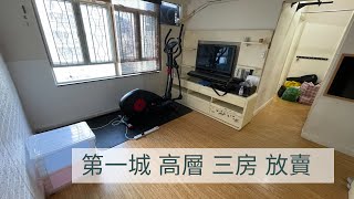 沙田 第一城7座高層D室 504‘ 三房｜裝修新淨｜放賣