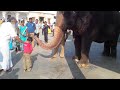 andra pradesh memories 2013 u0026 2017 lepakshi. gandikota belum yaganti mantralayam humpi