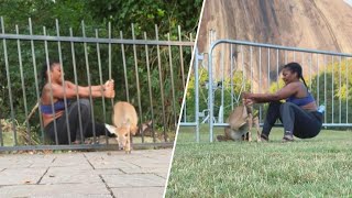 ‘Supergirl’ Bends Bars to Free Trapped Fawn