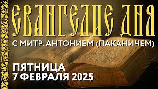 Толкование Евангелия с митр. Антонием (Паканичем). Пятница, 7 февраля 2025 года.