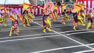 浜っ鼓★弾★DAN  ちょうさ節    2024 新居浜太鼓祭り イオンモール新居浜