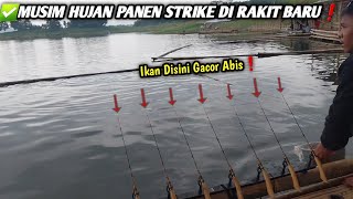 Panen Strike Sampai Pegal Di Sopt Ini❗Terbaru Mancing Dikala Musim Hujan,Rekomendasi Spot Terbaru