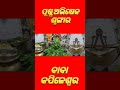 ପୂଷ୍ପ ଅଭିଷେକ ପୁଷମାସରେ ବାବା କପିଳେଶ୍ୱର subasita fulare avisek