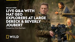 Live with Chris Packham and Dereck & Beverly Joubert | Big Cat Week | National Geographic Wild UK