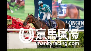 20241208「浪漫勇士」勝出浪琴香港盃後練馬師沈集成訪問