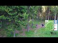 skien fritidspark frisbeegolf hull 13 par 4 176m