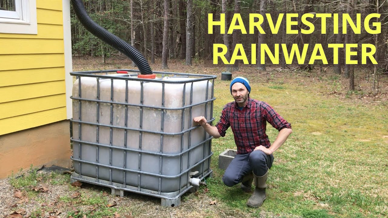 Home Gardening: Harvesting Rainwater - YouTube