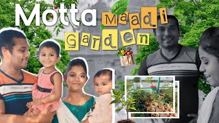 மாடி தோட்டத்த பாக்கலாம் வாங்க 🏡 | Terrace Garden Tour 🌿