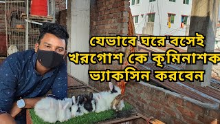 খরগোশ কে যেভাবে কৃমির কোর্স করাবেন | খরগোশের ডিওয়ার্মিং | Rabbit Dewarming | Rabbit care