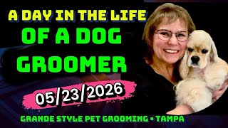 A DAY in the LIFE of a DOG GROOMER at Grande Style Dog Grooming in Tampa