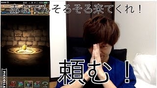 【パズドラ】アンケートゴッドフェス（４周年記念イベント後半）と　おまけのブリーチコラボガチャで神引き！　　ゴリチャンネル