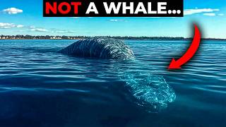 Lake Seneca's Darkest Secret… | THIS Is Why Lakes Are NOT Safe!
