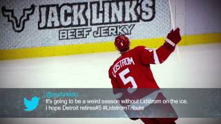 2011-2012 NHL Recap With NHL Social