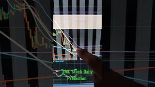 AMC Stock Daily Update And Prediction 2/13