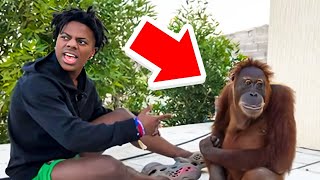 iShowSpeed Meets a MONKEY For the FIRST Time.. ๐