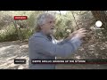 euronews interview beppe grillo explains