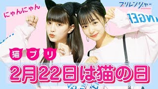 猫になって「猫プリ」撮りました【プリレンジャーTV】【鶴嶋乃愛】【莉子】