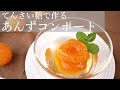 【簡単】あんずコンポート（アプリコットコンポート）の作り方（てんさい糖）あんずの効能　How to ｍake  apricots compote（beet sugar）