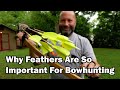 Why Feathers Are So Important To A Bowhunter