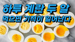 하루 계란 두 알 먹으면 기적이 일어난다. 10가지