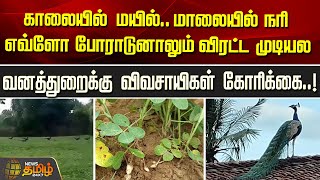 காலையில் மயில்.. மாலையில் நரி...எவ்ளோ போராடுனாலும் விரட்ட முடியல.... | Newstamil24x7