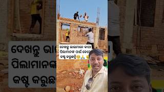 ପ୍ରବଳ ଖରାରେ ବି ବାପା ମାନେ ପରିଶ୍ରମ କରୁଛନ୍ତି🙏.#shorts #sambalpuri #odiashorts #odiastory #shortsvideo