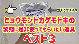 必見！ヒョウモントカゲモドキの繁殖に使ってもらいたい道具ベスト３！！小型の生き物の卵なら何でも可能です！