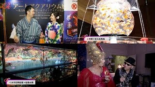 アートアクアリウム 2014【Art Aquarium TV】アートアクアリウム展 ～名古屋・金魚の雅～「開催見どころ特集」／08.29