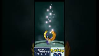 色違い シャドウホウオウ リトレーン ポケモンGO