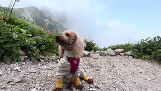 伯耆大山ユートピア 大休峠から