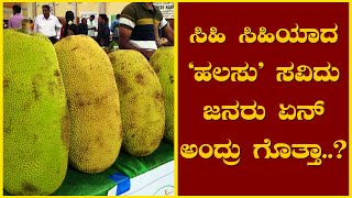 ಸಿಹಿ ಸಿಹಿಯಾದ ‘ಹಲಸು’ ಸವಿದು ಜನರು ಏನ್ ಅಂದ್ರು ಗೊತ್ತಾ..?| @News1Kannada | Mysuru