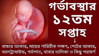 গর্ভাবস্থার ১২ সপ্তাহ।সপ্তাহ অনুযায়ী গর্ভাবস্থা- ১২।Pregnancy 12th week signs and symptoms in Bangla